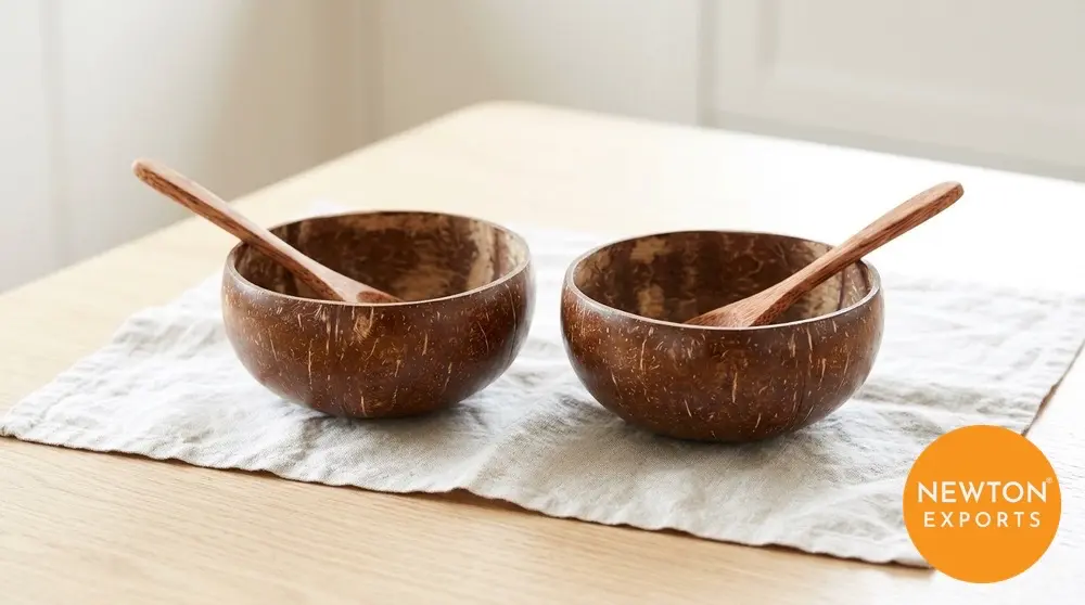 Coconut Shell Bowl