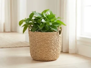 Seagrass Basket