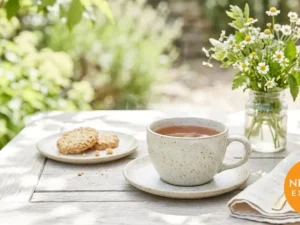 Stoneware Cup and Saucer Set